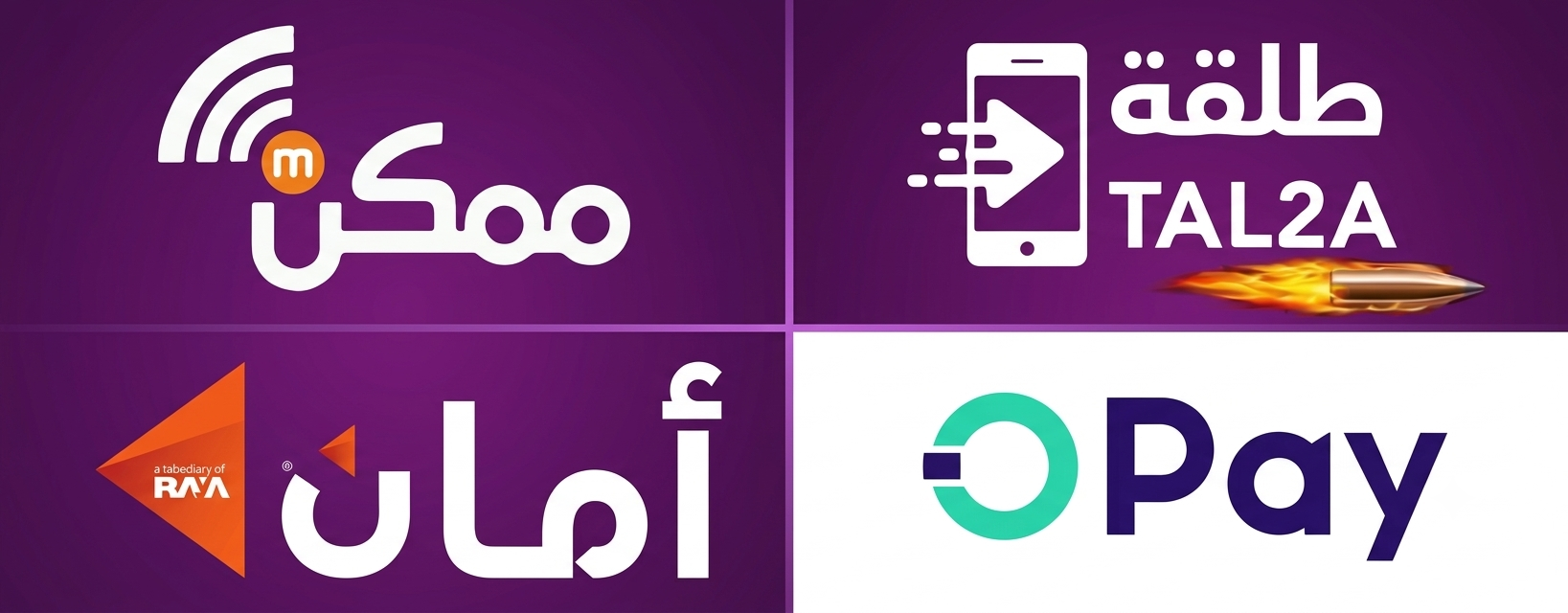 المدفوعات الالكترونية